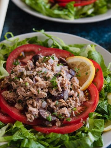 Healthy-Tuna-Salad-Recipe-Without-Mayo