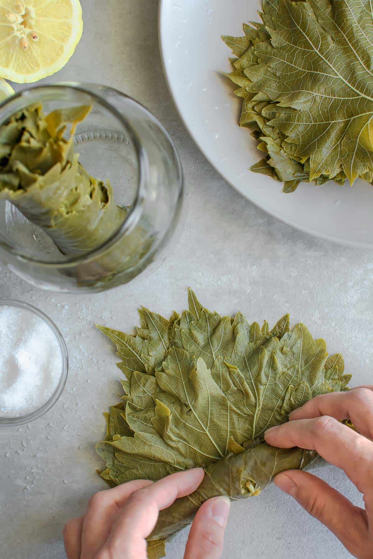 How To Preserve Grape Leaves